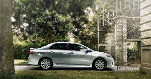 corolla.jpg